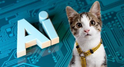 Las 3 razas de gatos más inteligentes, según la Inteligencia Artificial