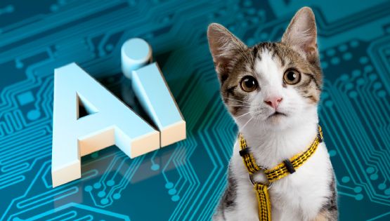 Las 3 razas de gatos más inteligentes, según la Inteligencia Artificial