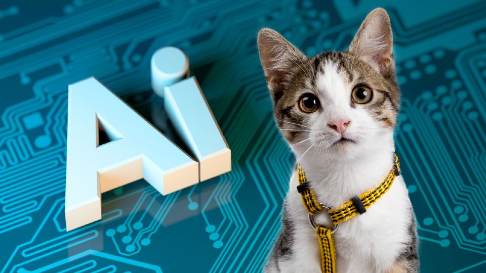 Según la inteligencia artificial, hay 3 razas de gatos que se consideran las más inteligentes.