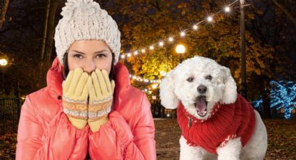 Clima en Monterrey 15 de febrero: ¿Seguirá el ambiente frío este fin de semana?