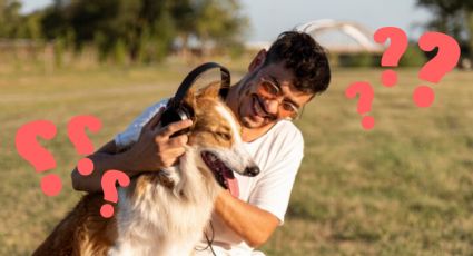 ¿El corazón de los perros se sincroniza con el de sus humanos? Esto dicen los expertos