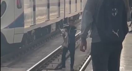 Hombre rescata a perrito de las vías del Metro en estación Exposición