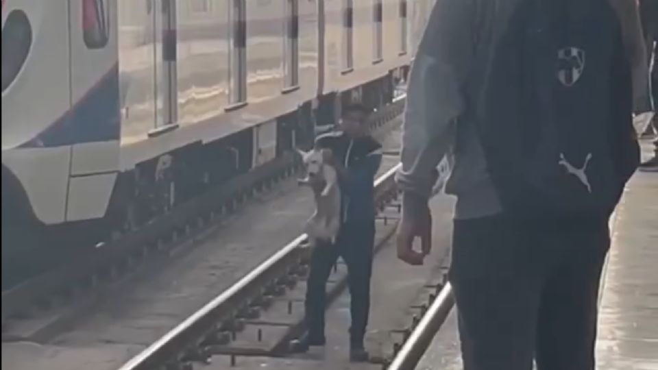 El joven brincó a las vías del Metro para sacar al lomito que se encontraba asustado.