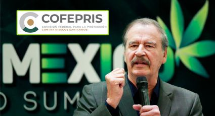 ¿Por qué Vicente Fox está en la mira de la Cofepris? En alerta sus productos de cannabis