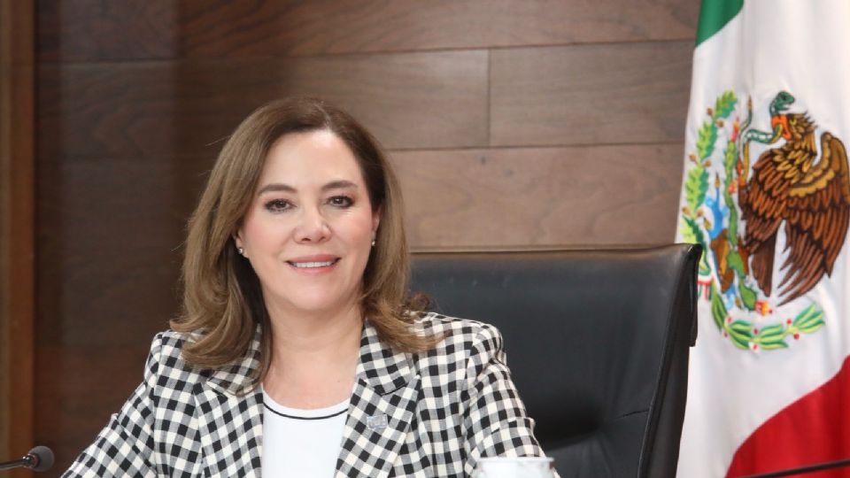 La comisionada Blanca Lilia Ibarra corroboró que la AEFCM omitió buscar lo requerido en la totalidad de sus unidades administrativas.