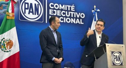 PAN anuncia actos resistencia civil contra elección en Poder Judicial; acudirá ante la OEA