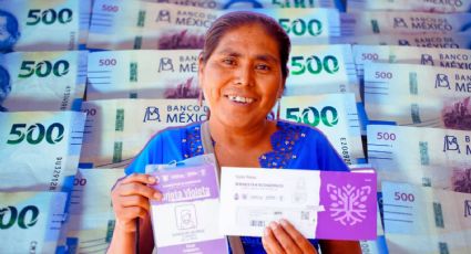 Tarjeta Violeta CDMX: ¿Cuándo inicia el registro para obtener 15 mil pesos?