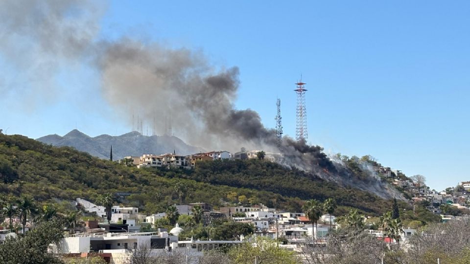 Una densa columna de humo se elevó sobre la colonia Las Brisas, generando alerta entre los habitantes y movilizando a los cuerpos de emergencia.