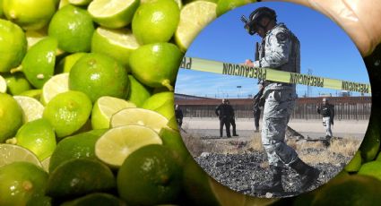 Productores de limón en Michoacán: Entre el crimen organizado y el fantasma de los aranceles