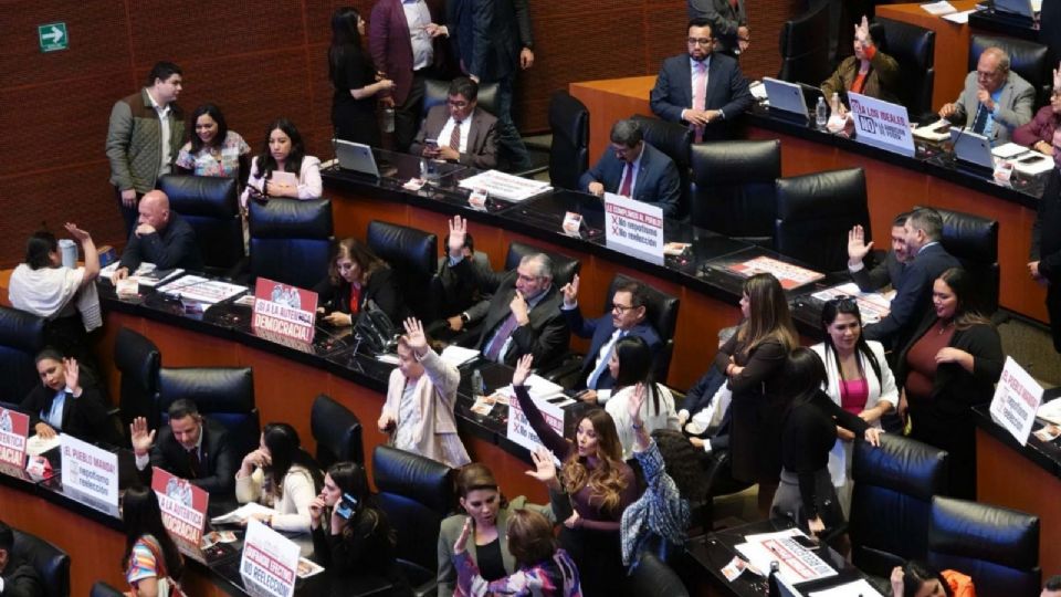 La senadora por el PRI, Claudia Edith Anaya, advirtió que la redacción es confusa e incluso ridícula