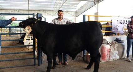 ¿Se va a hacer la carnita asada? Prevén aumento en el consumo de carne en Nuevo León