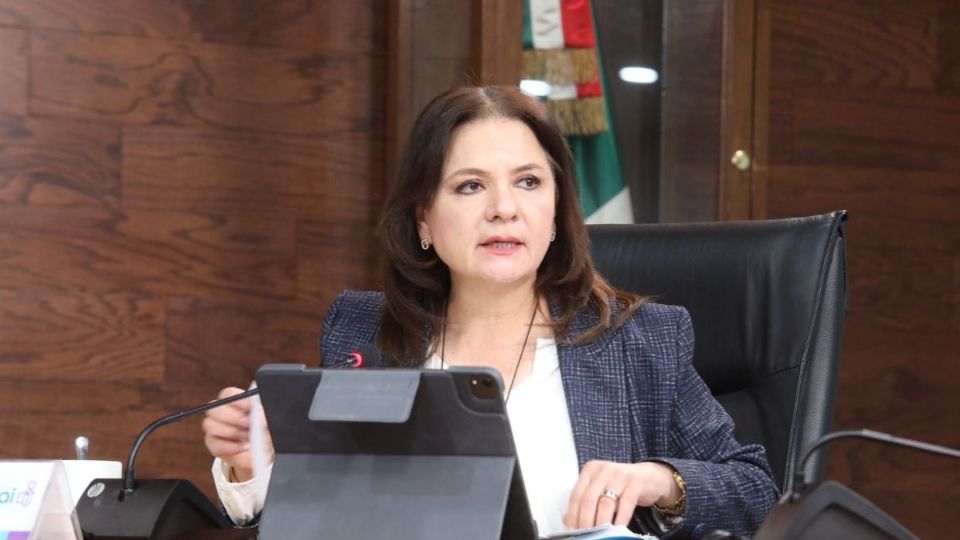 El INM omitió consultar a todas sus unidades administrativas competentes.