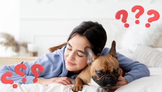 ¿Duermes con tu mascota? Estos son los beneficios y riesgos de hacerlo