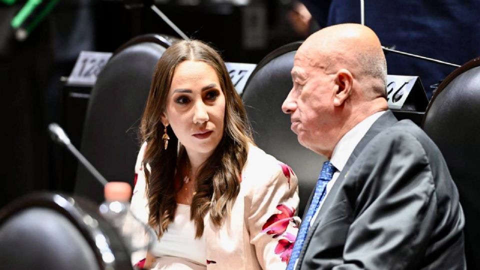 Noemí Luna, vicecoordinadora de la bancada del PAN en la Cámara de Diputados.