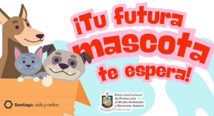 Feria de adopción responsable en Santiago, N.L: ¡Tu futura mascota te está esperando!