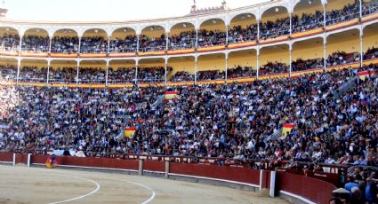 Iniciativa contra corridas de toros no debe postergarse: MC-CDMX