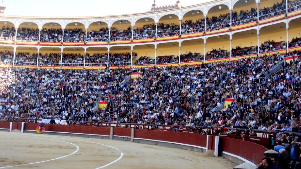 La Suprema Corte ya ha establecido los límites para la consulta en términos de libertad religiosa.