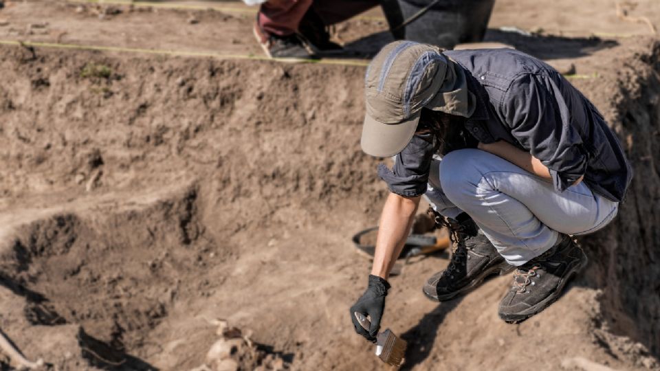 El conjunto arqueológico consta de 45 piezas de madera de la época neolítica