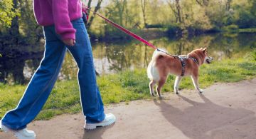 4 lugares pet-friendly para pasear con tu mascota este fin de semana en CDMX