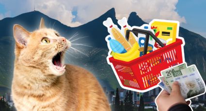 La canasta básica más cara a nivel nacional está en Monterrey en esta tienda de autoservicio