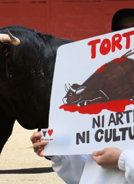 Corridas de toros: Encuesta revela qué emociones emiten y quiénes las rechazan más