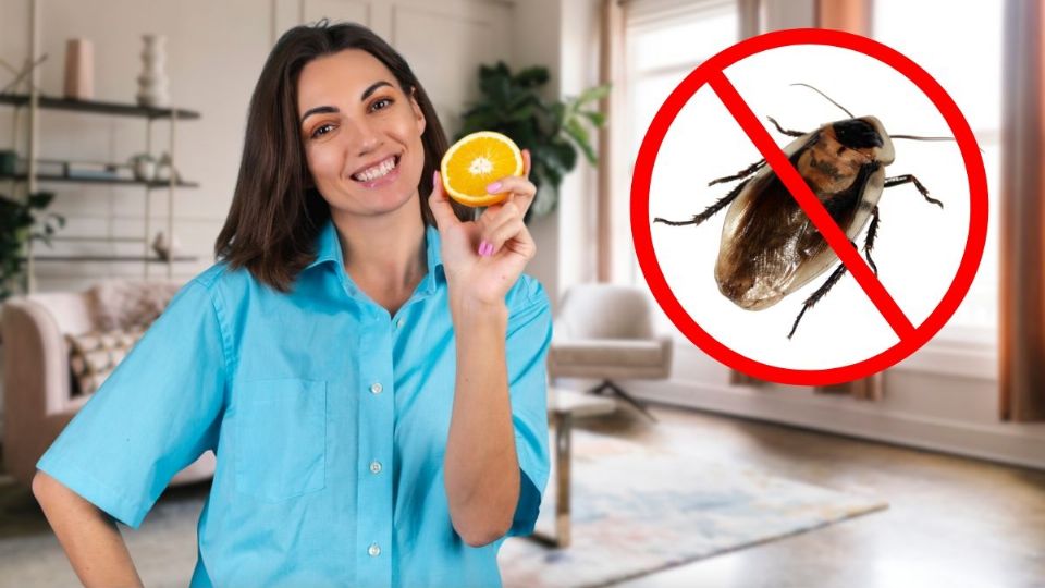 El truco con naranja para alejar a las cucarachas de tu hogar en temporada de calor