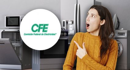 Este programa de CFE te permite renovar tus electrodomésticos; ¿de qué trata?