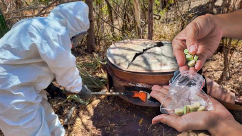 El decomiso en Zacatecas destaca como una acción clave en la lucha contra las drogas.