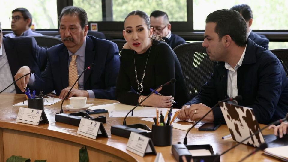 Con Sheinbaum, cada media hora desaparece una persona, advierte la vicecoordinadora panista, Noemí Luna.