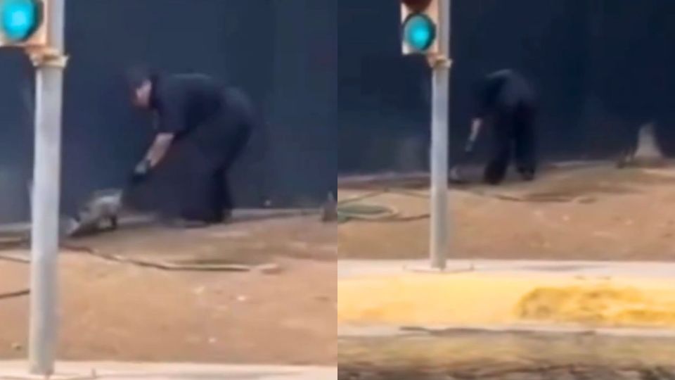 Captura del video donde se ve al empleado del car wash agrediendo al tlacuache.
