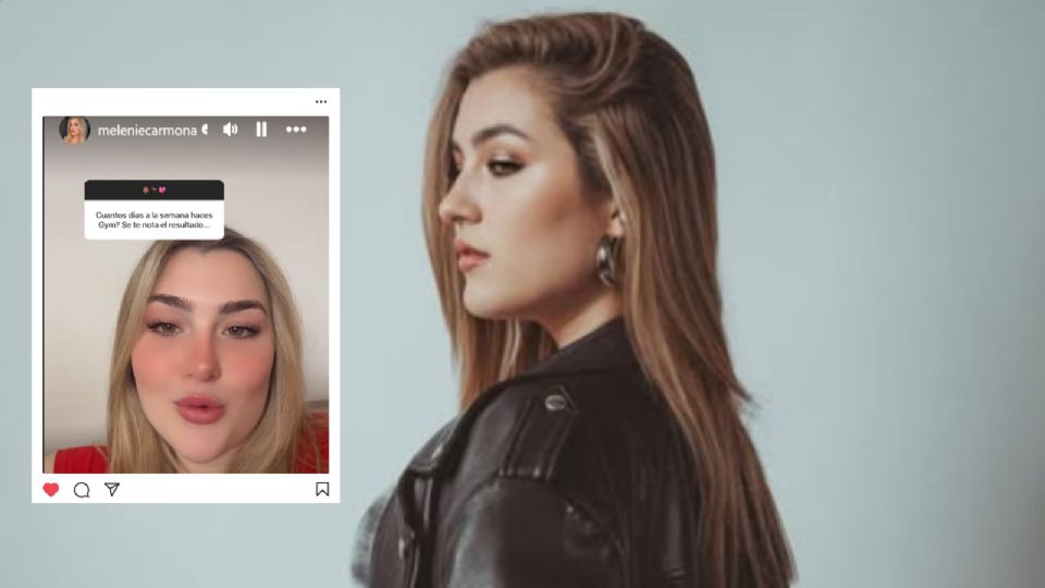 La hija de Alicia Villarreal y Arturo Carmona mantiene contacto con sus seguidores.