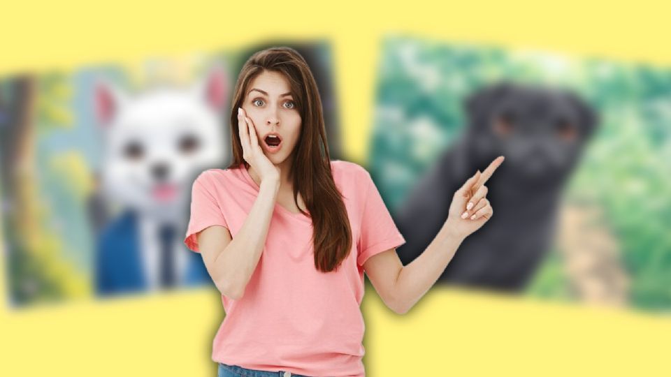 Aquí te damos los pasos para crear a tu personaje estilo anime y experimentar con diferentes estilos.