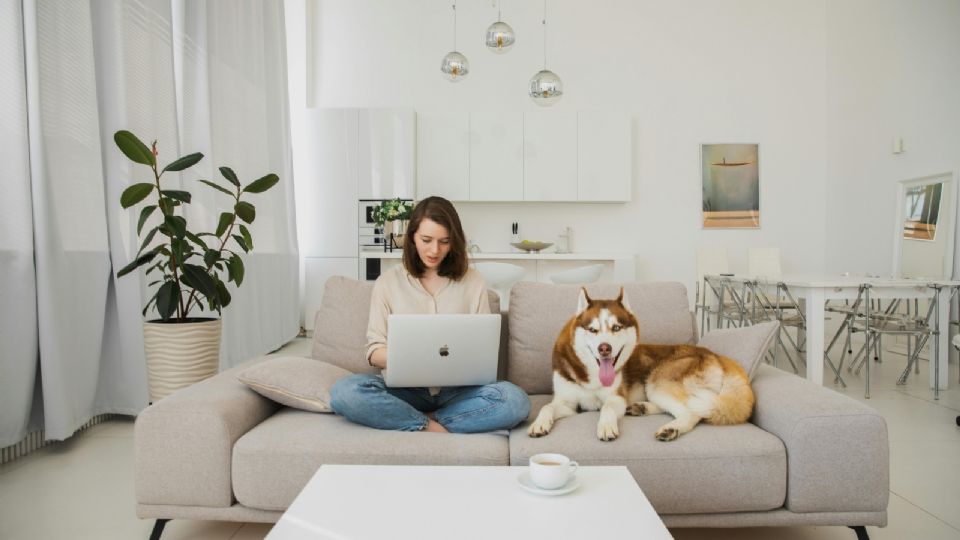 Aunque estas razas son recomendadas para espacios pequeños, cada perro es un mundo.