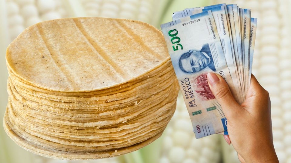 ¿Por qué el precio de la tortilla podría subir en México?