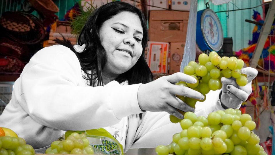 Las alcaldías no han proporcionado a la Secretaría de Desarrollo Económico