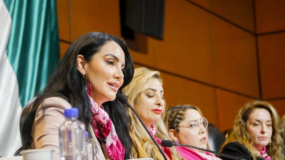Gabriela Jiménez, vicecoordinadora de Morena en la Cámara de Diputados.