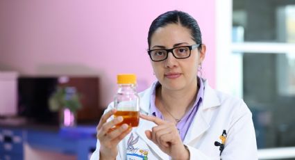 Con tecnología de la UANL mujeres crean aceites esenciales derivados del orégano