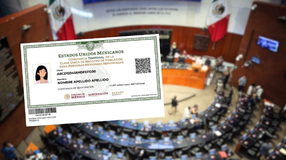 De acuerdo con la propuesta, la CURP contará con elementos como el nombre y apellidos de los ciudadanos.