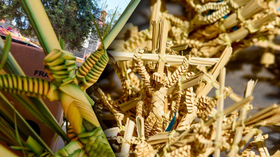 El Domingo de Ramos 2025 es también una oportunidad para reflexionar.