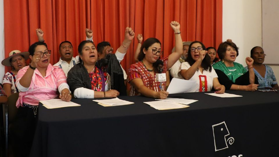 Integrantes del CNPI anunciaron los nombres de las personas que provienen de distintos pueblos originarios que participarán en las elecciones del Poder Judicial.