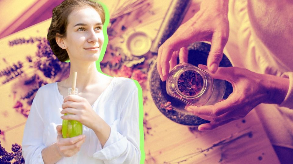 Remedios con plantas medicinales para aliviar las reumas.