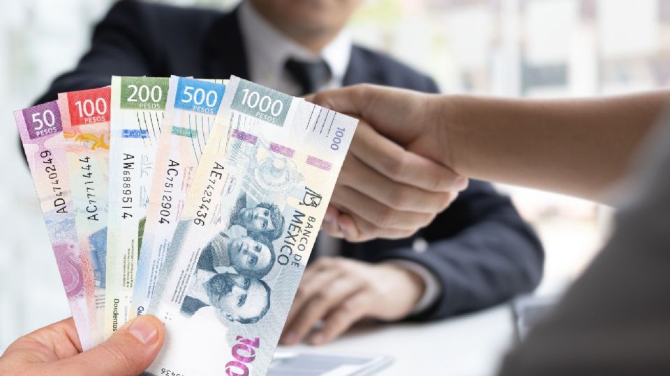 La vacante se encuentra en la plataforma oficial de vacantes del gobierno federal.