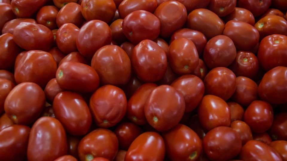 Los trabajadores del campo alertan por la pérdida de empleos debido a la cuota compensatoria al tomate mexicano.