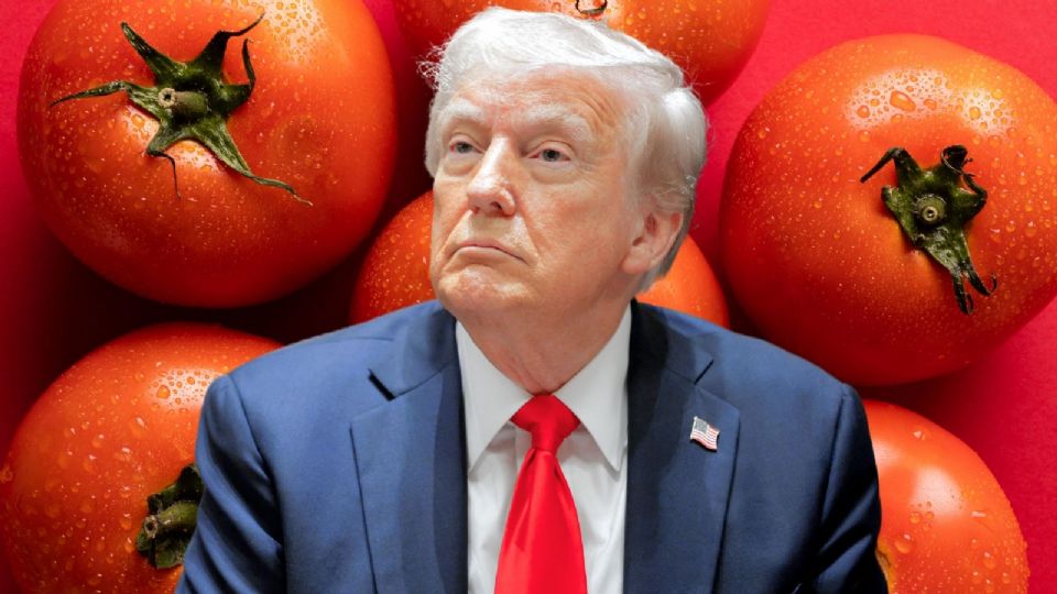 Donald Trump impone nuevos aranceles a México. Será el 14 de julio la fecha límite para la implementación oficial de este impuesto.