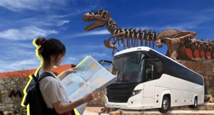 ¿Cómo ir al Museo del Desierto en Saltillo desde Monterrey de forma económica y accesible?