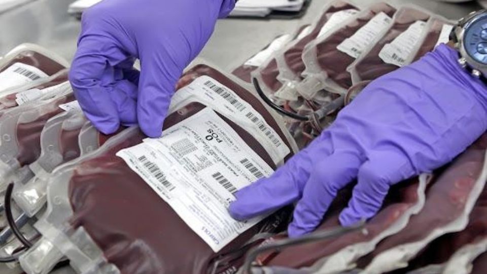 La doctora García Lee indicó que en el diagnóstico de la hemofilia, es importante la sospecha clínica.