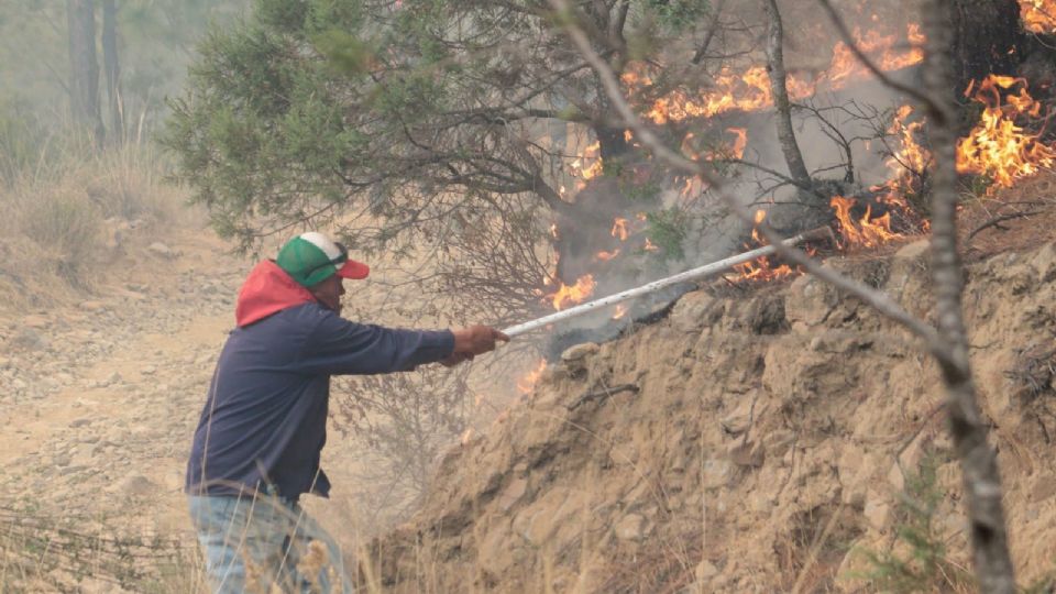 La Conafor solicitó a la población que reporte cualquier incendio forestal al 800 737 0000 o al 911.