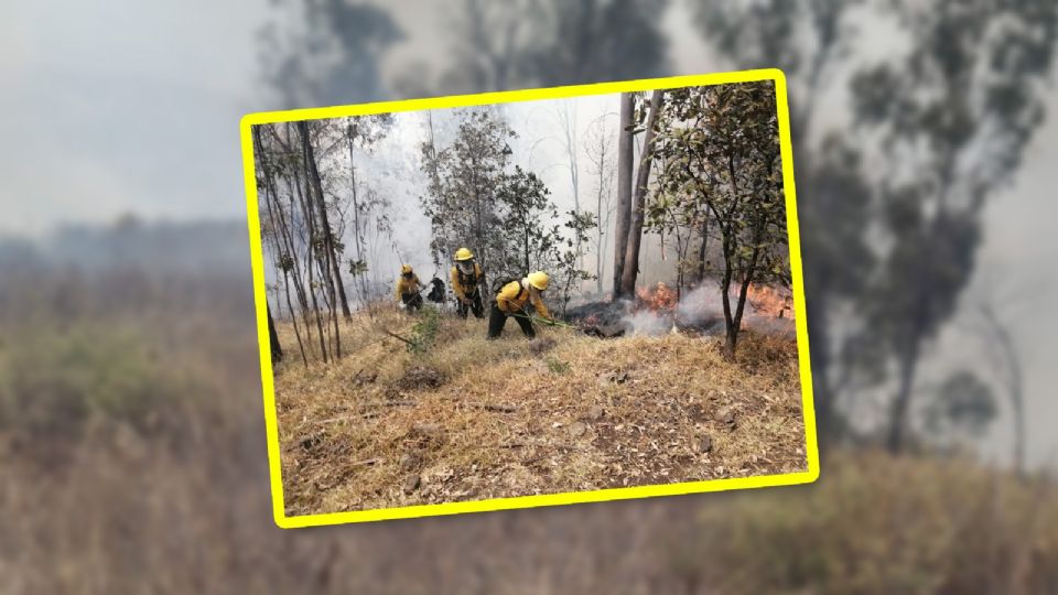Equipos de Protección Civil y Bomberos de Tultitlán han sido desplegados para combatir el incendio.
