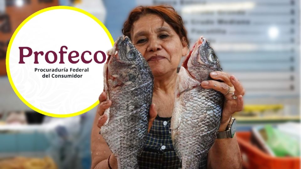 La Profeco recomienda comprar pescado en establecimientos establecidos y que mantengan los productos en refrigeración adecuada.