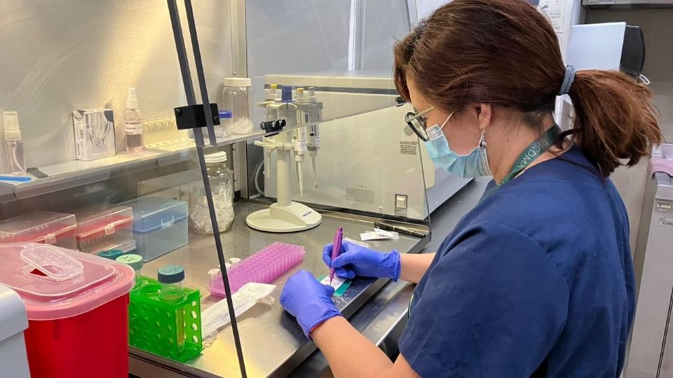 La guía garantiza el acceso a la justicia y el debido proceso de las mujeres y sus familias.